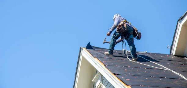 Best Roof Gutter Cleaning  in Upper Sandusky, OH
